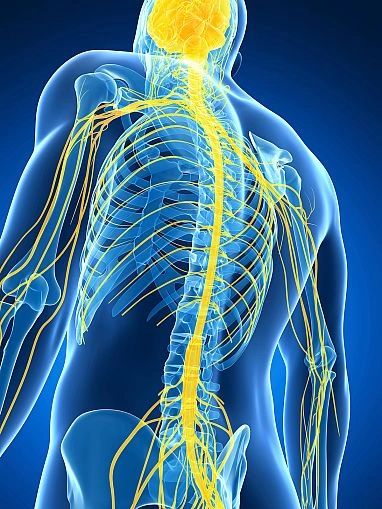 Multiple sclerosis treatment